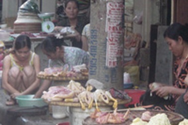 Chuyện bi hài thời cúm gà, nước tương ung thư