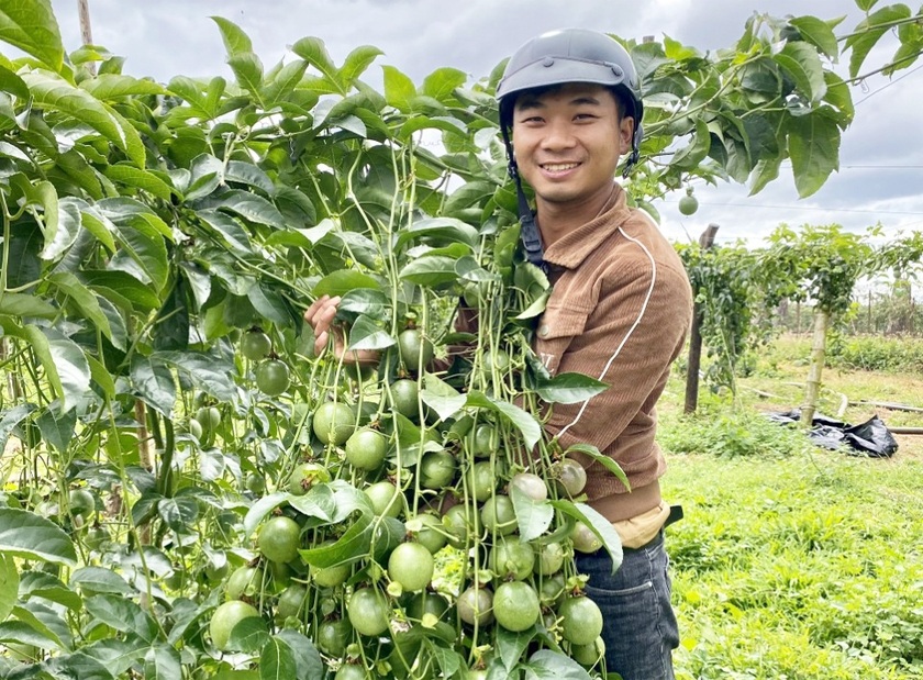 Ba nông dân kiếm tiền tỷ, mỗi người trồng một loại cây siêu trái - 1 Ba nông dân kiếm tiền tỷ, mỗi người trồng một loại cây siêu trái - 1