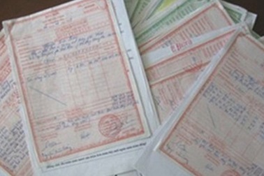 Bắt giám đốc xuất khống 13 hóa đơn GTGT với số tiền hơn 166 tỷ đồng