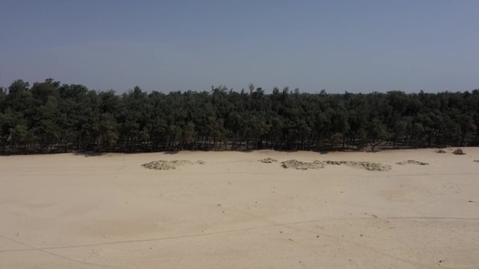 Chuyện "bức tường xanh" hơn 8000km chống sa mạc hóa, cứu hành tinh