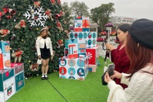 Giới trẻ đổ xô "check-in" với cây thông độc đáo mùa Giáng sinh