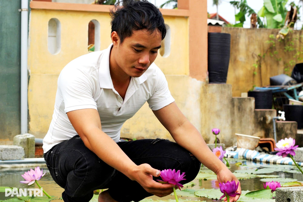 Kỹ sư điên cất bằng về quê trồng súng, bỏ túi 30 triệu đồng mỗi tháng - 1 Kỹ sư điên cất bằng về quê trồng súng, bỏ túi 30 triệu đồng mỗi tháng - 1