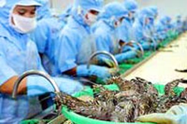 Thụy Sĩ ưa chuộng tôm nuôi của Việt Nam