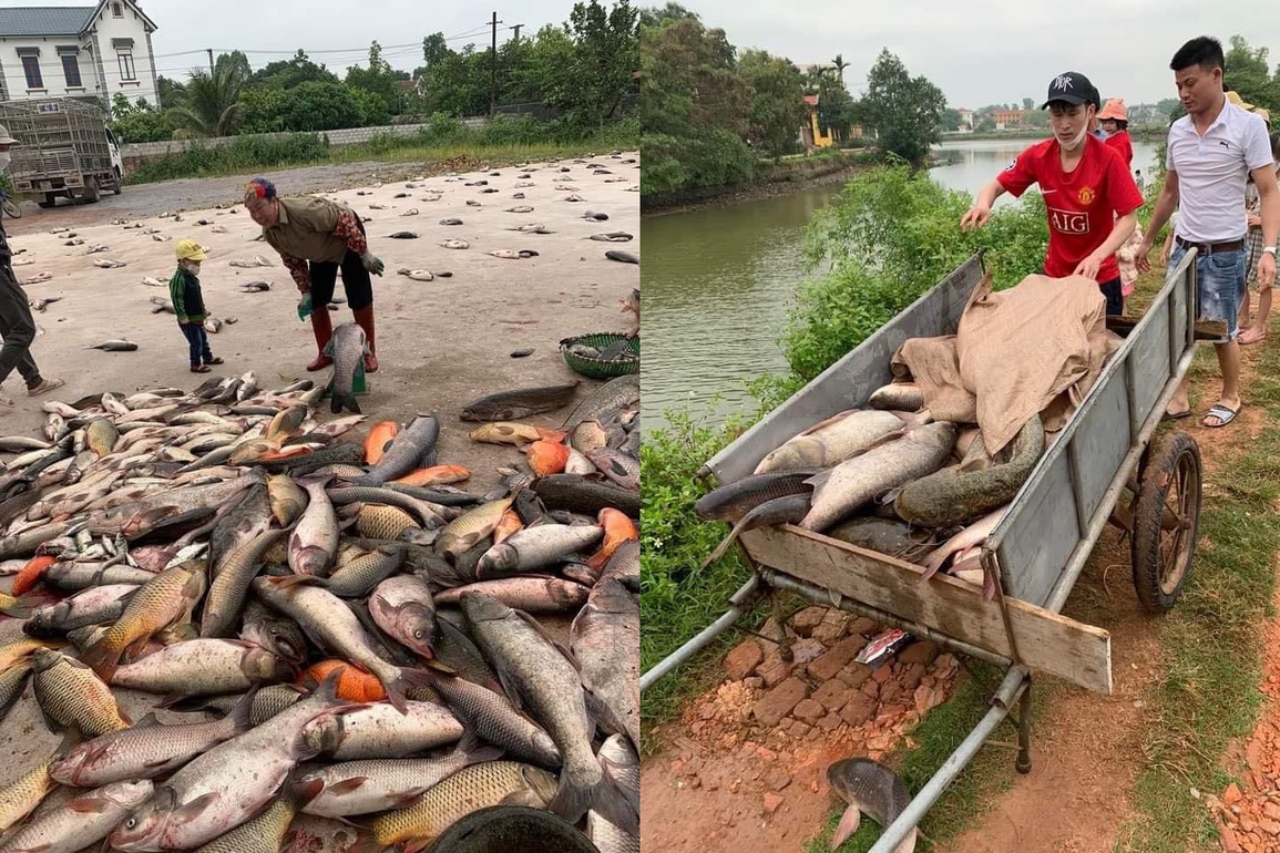 Phiên chợ lạ toàn cá, dân xếp hàng chia phần chẳng cần cân ở Bắc Giang - 3 Phiên chợ lạ toàn cá, dân xếp hàng chia phần chẳng cần cân ở Bắc Giang - 3