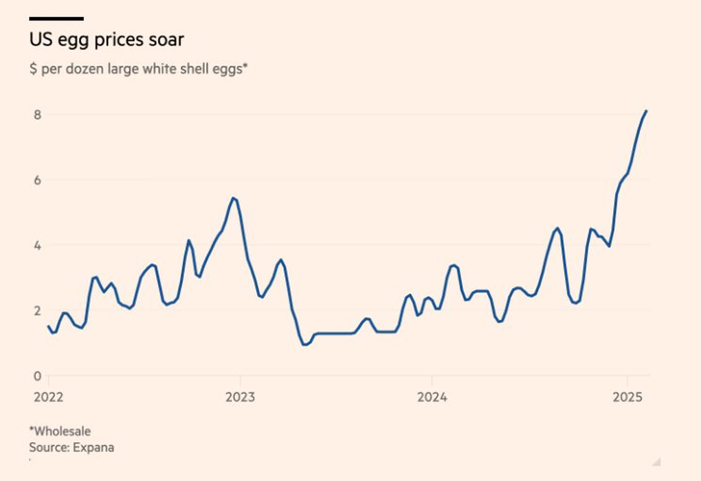 Khủng hoảng trứng ở Mỹ: Giá trứng cao kỷ lục, xuất hiện nạn trứng tặc - 1