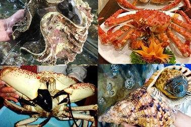 Bữa tiệc khó tin: Tu hài 10 triệu/con, cua khổng lồ 60 triệu/con