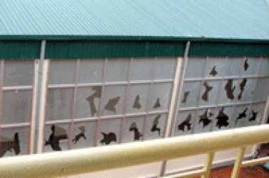 Một bệnh viện tư nhân bị đập phá nghiêm trọng