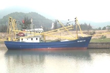 Ngư dân "bội thu" từ chuyến vươn khơi đầu tiên bằng tàu chụp mực, vỏ sắt