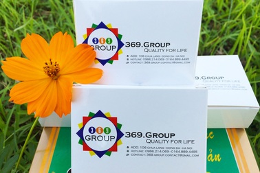 Actiso Đà Lạt: Cách sử dụng, phân loại, cách bảo quản