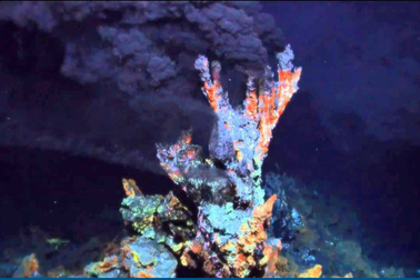 Tổ tiên của tất cả các vật thể sống là gì?