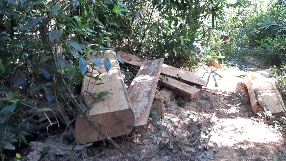 Khởi tố vụ cả đoàn xe độ chế rầm rập tiến vào phá nát rừng xanh Tây Nguyên - 2 Khởi tố vụ cả đoàn xe độ chế rầm rập tiến vào phá nát rừng xanh Tây Nguyên - 2