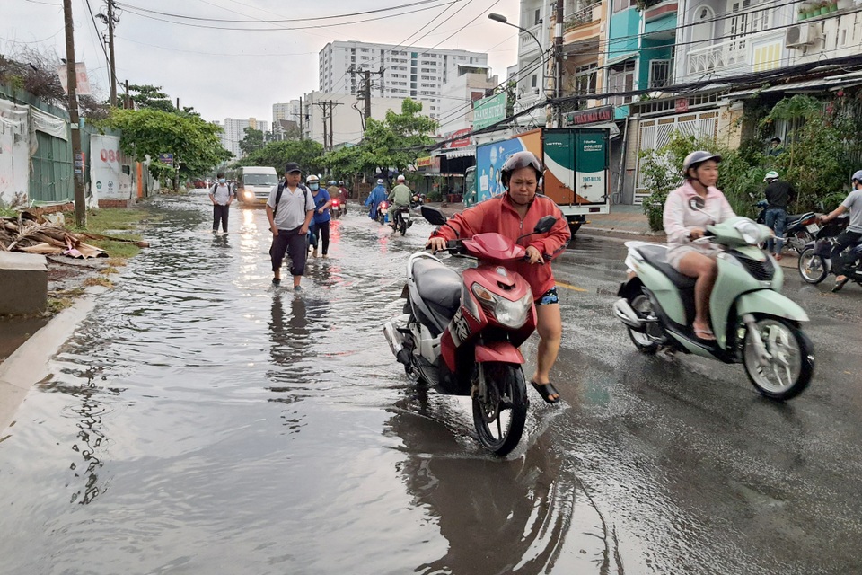 TPHCM mưa trắng trời, đường ngập, cây đổ khắp nơi - 5 TPHCM mưa trắng trời, đường ngập, cây đổ khắp nơi - 5