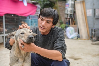 Tìm chủ cho "thú cưng" bị bỏ rơi ở Hà Nội: Tôi chỉ sợ họ mang về làm thịt