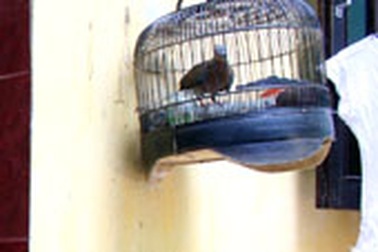 Chân dung người cha “tội đồ” - sát nhân máu lạnh