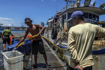 Cuộc sống trên đảo Đài Loan trong những ngày Trung Quốc rầm rộ tập trận