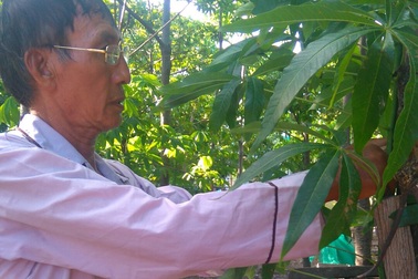 Vụ "án oan" nhiễm HIV 19 năm: Trung tâm Y tế dự phòng Bình Thuận thụ lý giải quyết