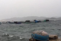 Biên phòng Khánh Hòa cứu một ngư dân bị đuối nước khi chạy bão