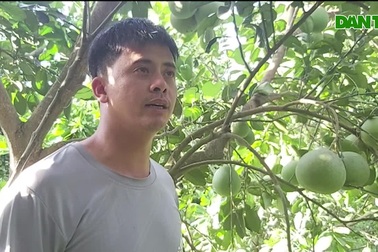 Thầy giáo làm trang trại thu 200 triệu đồng mỗi năm