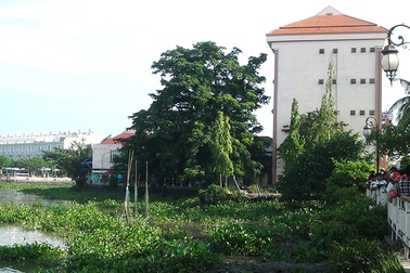 Phát hiện thi thể cụ bà trên sông Sài Gòn