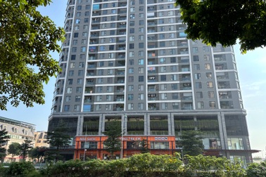 Vợ chồng hai con chấp nhận sống khổ, gánh nợ tiền tỷ để có nhà Hà Nội