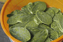 Món ăn độc đáo làm từ loại thực phẩm "gai góc" ở Mexico