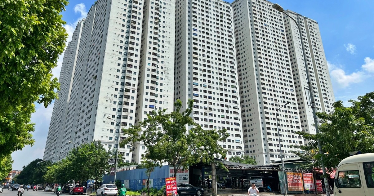 dantri.com.vn