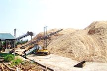 Tiền thưởng Tết tại Huế cao nhất 150 triệu đồng