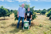 Phân bón hữu cơ SenTra: Giải pháp phát triển nông nghiệp bền vững