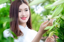 Hoa khôi Đại học Lao động xã hội dịu dàng bên hoa loa kèn