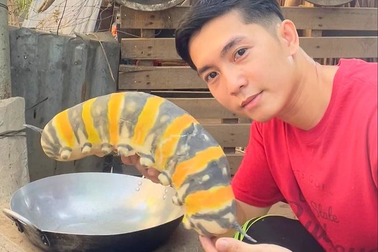 9X Việt gây sốt vì clip nấu ăn với "sâu, gián"... khổng lồ