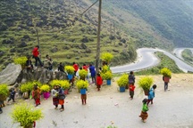 Công an xác minh thông tin bà Hoàng Hường gọi người cho thuê hoa là ăn xin