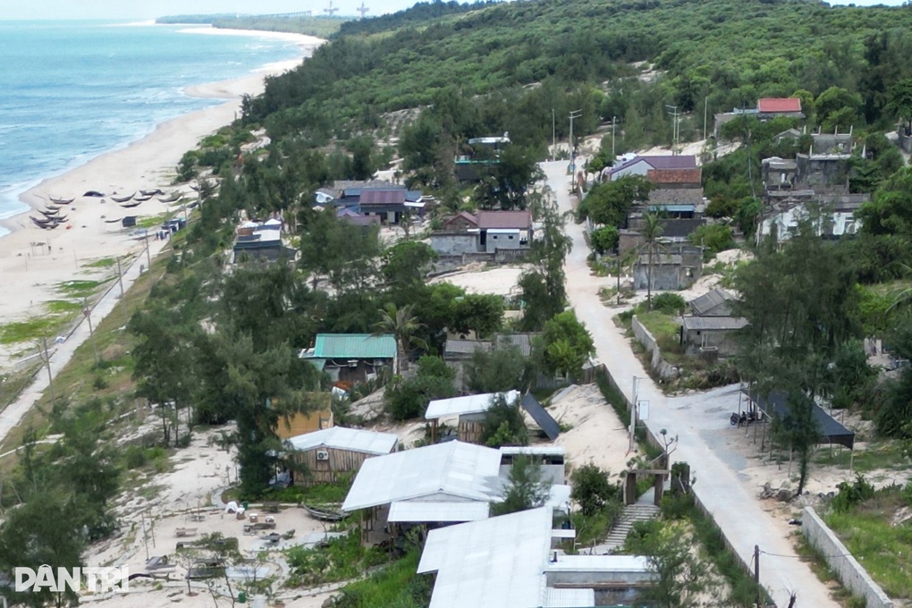 Khoảng 2,5ha rừng phòng hộ ven biển tại Huế bị chặt phá - 1 Khoảng 2,5ha rừng phòng hộ ven biển tại Huế bị chặt phá - 1