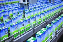 SCIC chào bán Vinamilk với giá khởi điểm 144.000 đồng/cổ phiếu