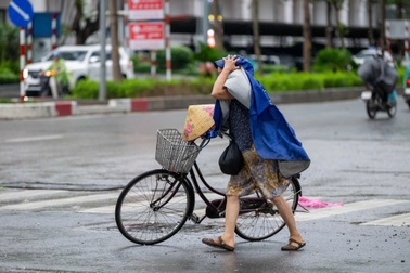 Nhiều công ty tại Hà Nội cho nhân viên làm tại nhà tránh bão Wipha