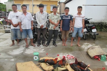Bắt quả tang 30 đối tượng đang đá gà ăn tiền