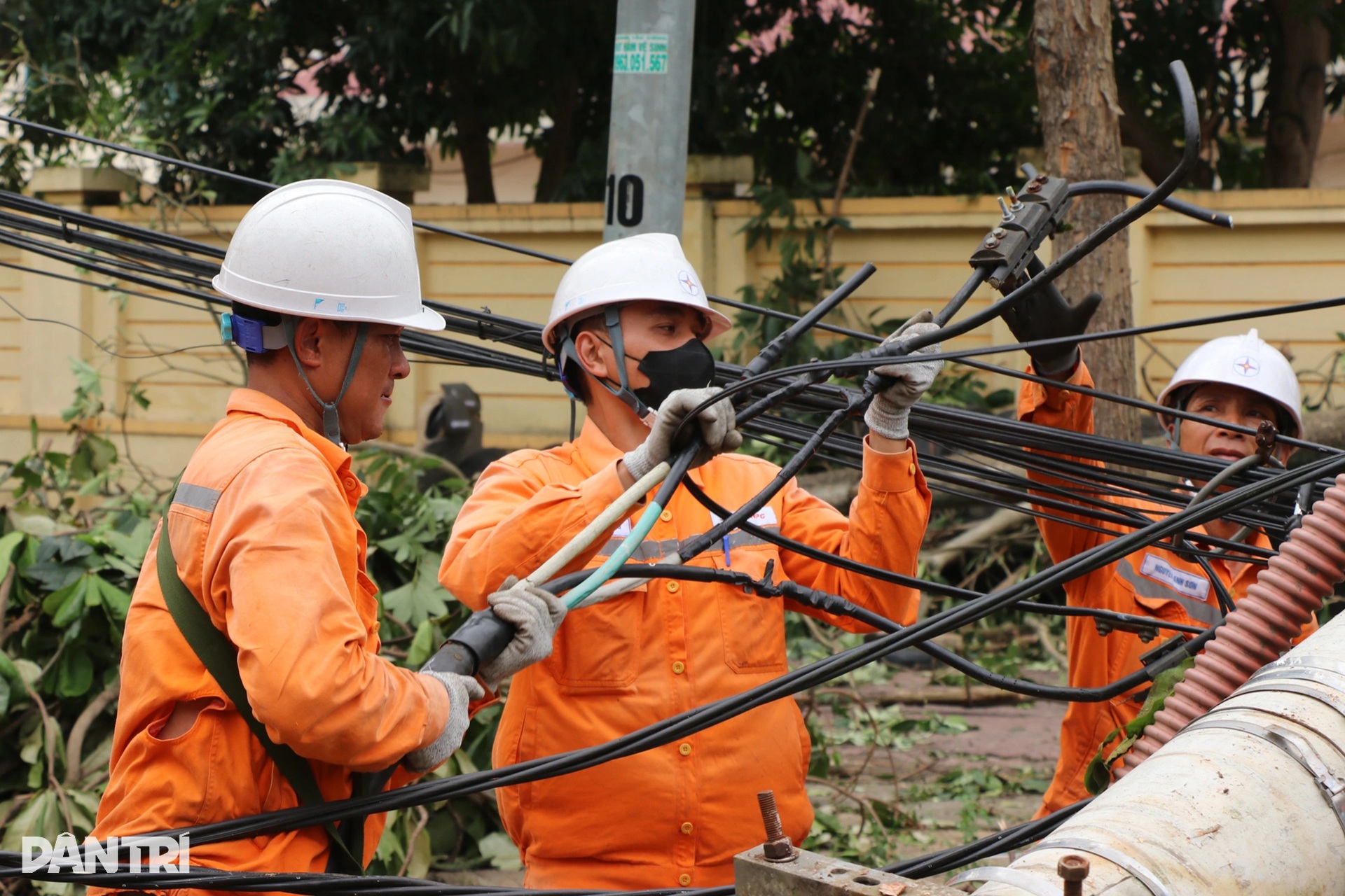 Những người thợ áo cam căng mình dựng cột, nối đường dây sau bão Kajiki - 2 Những người thợ áo cam căng mình dựng cột, nối đường dây sau bão Kajiki - 2