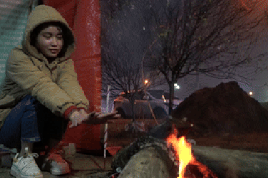 Mong ước của tiểu thương buôn mai, đào trong đêm lạnh "cắt da, cắt thịt"