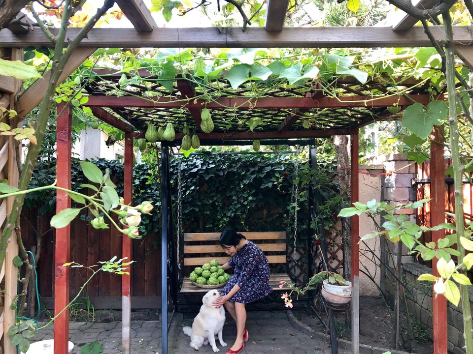 Ngôi nhà phủ kín hoa hồng đẹp không rời mắt của nữ Việt kiều ở Hungary - 9 Ngôi nhà phủ kín hoa hồng đẹp không rời mắt của nữ Việt kiều ở Hungary - 9