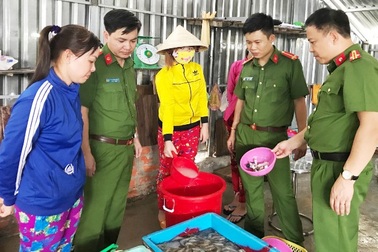 Lúng túng trong việc xử lý nạn bơm chích tạp chất vào tôm