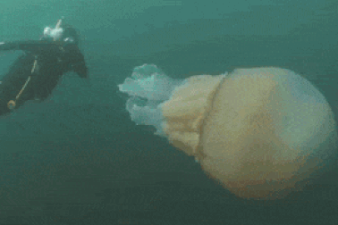 Choáng ngợp trước vẻ đẹp kỳ diệu của thiên nhiên