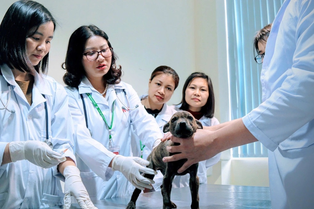Người tài cần gì khi đầu quân về khu vực công? - 4 Người tài cần gì khi đầu quân về khu vực công? - 4