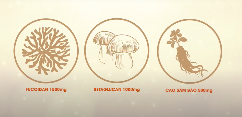 TP BVSK Ancan Fucoidan: Hỗ trợ điều trị ung thư hiệu quả? - 2 TP BVSK Ancan Fucoidan: Hỗ trợ điều trị ung thư hiệu quả? - 2