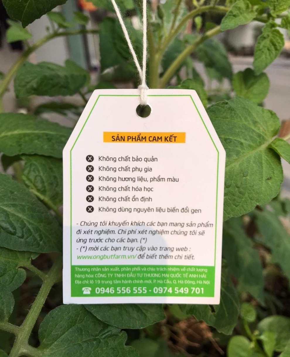 Ông Bụt Farm, sản phẩm sữa thực vật dinh dưỡng cho mọi nhà - 4 Ông Bụt Farm, sản phẩm sữa thực vật dinh dưỡng cho mọi nhà - 4