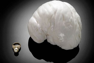 Những hình ảnh ấn tượng trong tuần