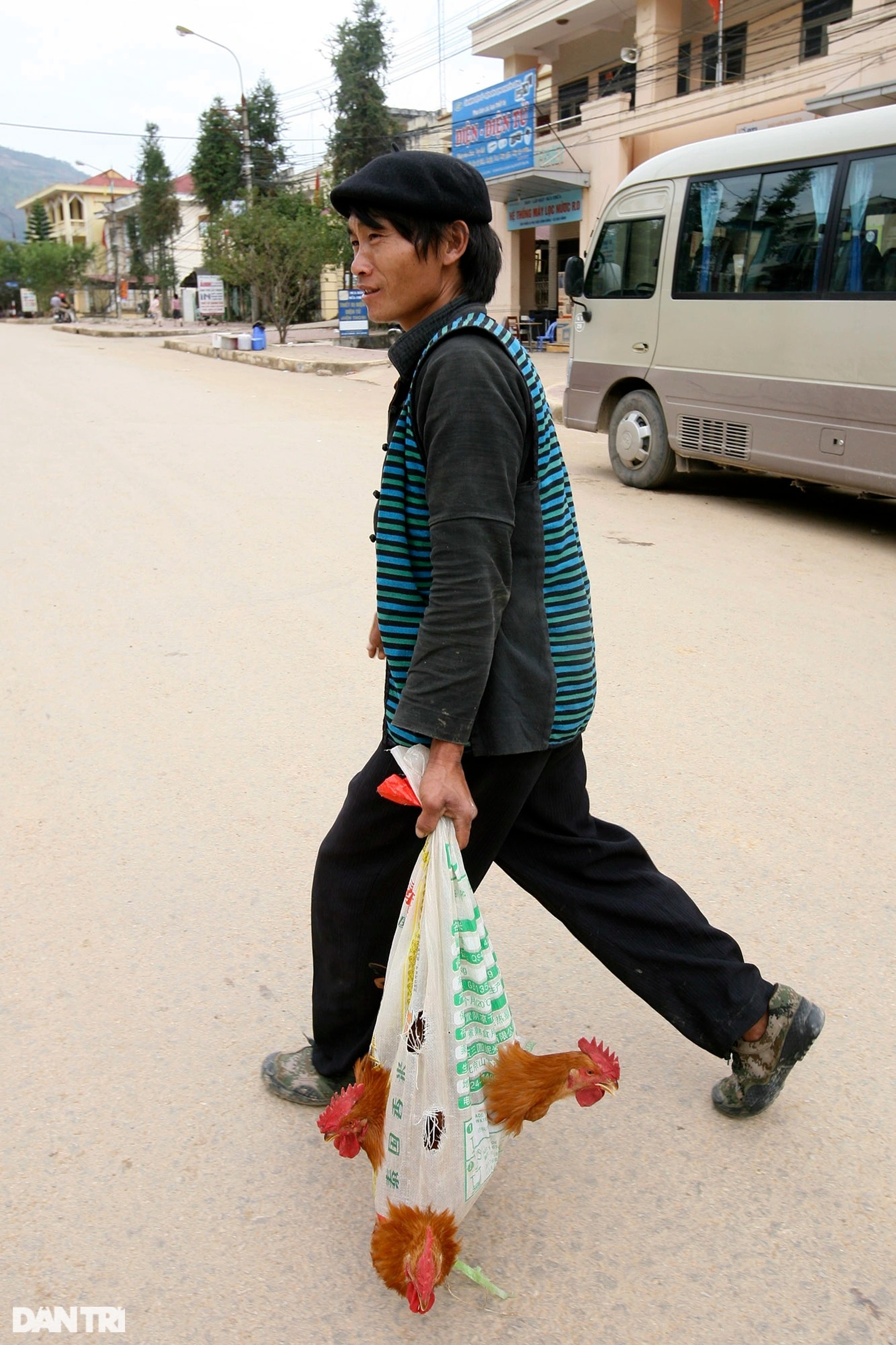 Hà Giang bốn mùa hoang dã - 12