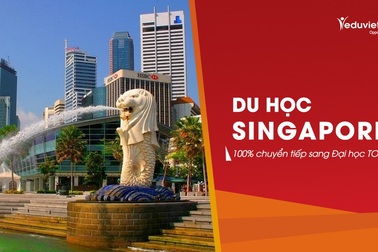 Du học Singapore: Học bổng trăm triệu & Chuyển tiếp 100% sang ĐH TOP tại Úc