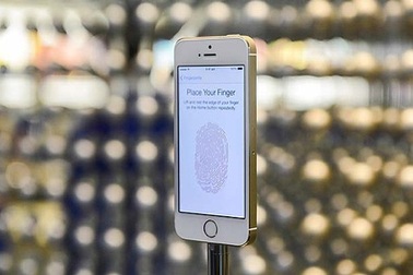 Apple đang sản xuất iPhone 6 màn hình 5,5 inch, thiết kế cong