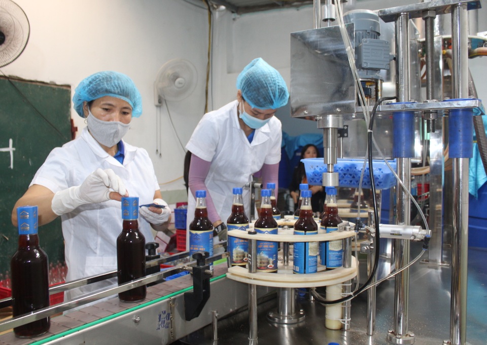 Giữ gìn làng nghề truyền thống nước mắm Khúc Phụ 300 năm tuổi - 4 Giữ gìn làng nghề truyền thống nước mắm Khúc Phụ 300 năm tuổi - 4