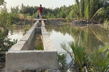 Tự bỏ tiền xây cầu vào nhà, bị phạt 40 triệu đồng?