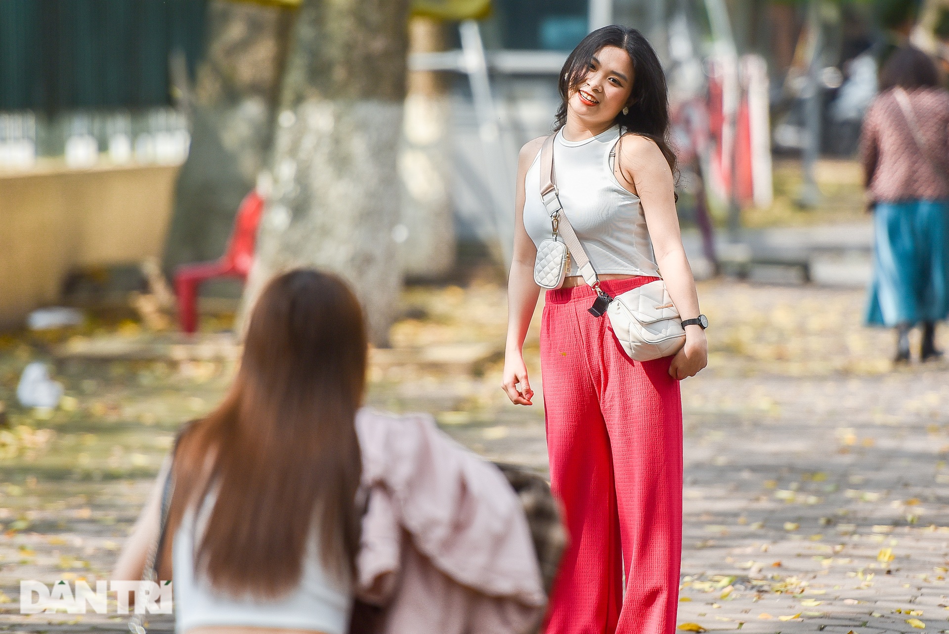 Du khách xếp hàng chụp lá vàng rơi ở góc phố Hà Nội - 9 Du khách xếp hàng chụp lá vàng rơi ở góc phố Hà Nội - 9